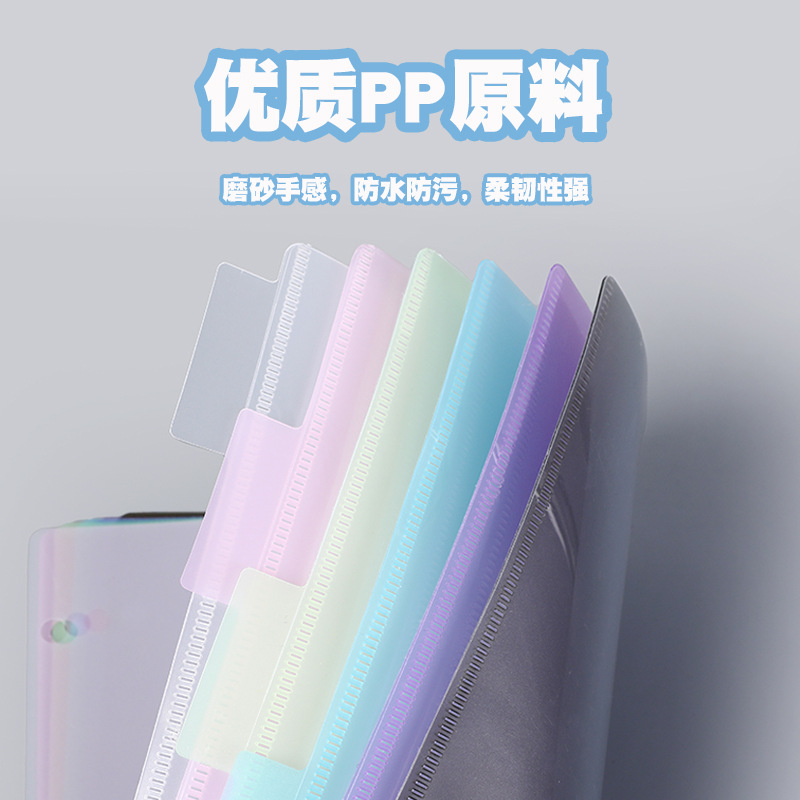 A4 3穴バインダーディバイダー 6タブ パステルキャンディ - Tab Divider A4 のレビューと価格